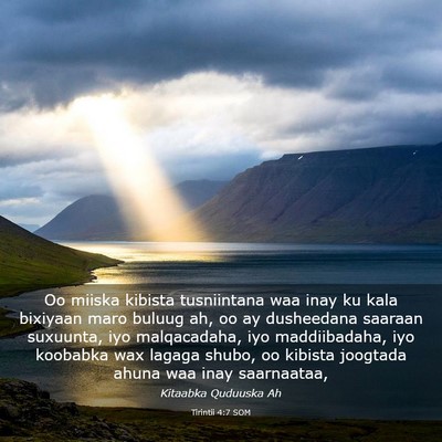 Picture 03 - Tirintii 4:7 SOM - Oo miiska kibista tusniintana waa inay ku kala - Bible Verse Picture