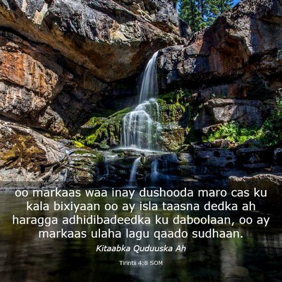 Picture 03 - Tirintii 4:8 SOM - oo markaas waa inay dushooda maro cas ku kala - Bible Verse Picture