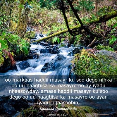 Picture 03 - Tirintii 5:14 SOM - oo markaas haddii masayr ku soo dego ninka oo uu - Bible Verse Picture