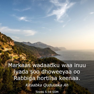 Picture 03 - Tirintii 5:16 SOM - Markaas wadaadku waa inuu iyada soo dhoweeyaa oo - Bible Verse Picture