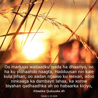 Picture 03 - Tirintii 5:19 SOM - Oo markaas wadaadku iyada ha dhaariyo, oo ha ku - Bible Verse Picture