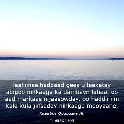 Picture 03 - Tirintii 5:20 SOM - laakiinse haddaad gees u leexatay adigoo ninkaaga - Bible Verse Picture
