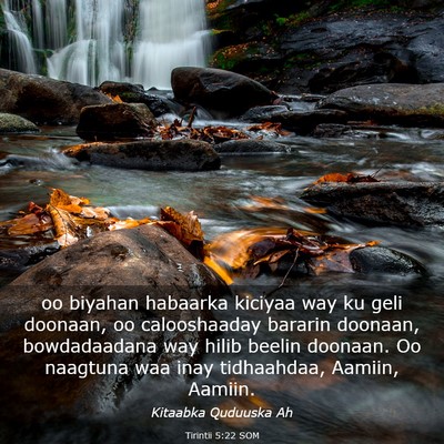 Picture 03 - Tirintii 5:22 SOM - oo biyahan habaarka kiciyaa way ku geli doonaan, - Bible Verse Picture
