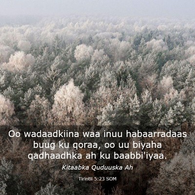 Picture 03 - Tirintii 5:23 SOM - Oo wadaadkiina waa inuu habaarradaas buug ku - Bible Verse Picture