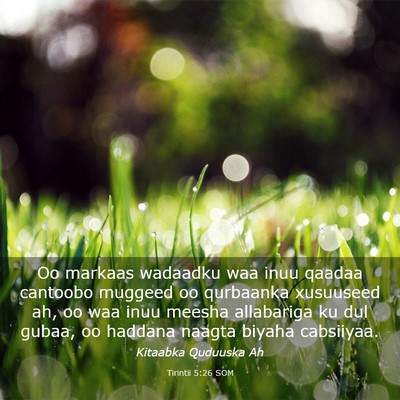 Picture 03 - Tirintii 5:26 SOM - Oo markaas wadaadku waa inuu qaadaa cantoobo - Bible Verse Picture