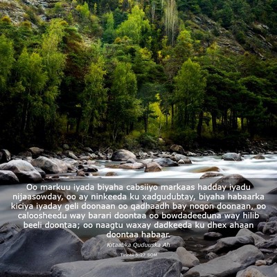 Picture 03 - Tirintii 5:27 SOM - Oo markuu iyada biyaha cabsiiyo markaas hadday - Bible Verse Picture