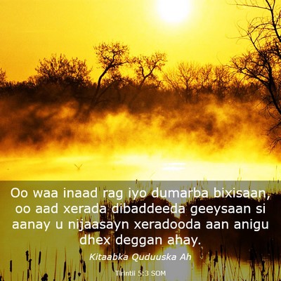 Picture 03 - Tirintii 5:3 SOM - Oo waa inaad rag iyo dumarba bixisaan, oo aad - Bible Verse Picture