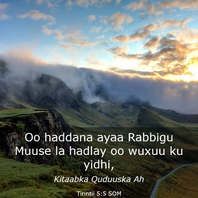 Picture 03 - Tirintii 5:5 SOM - Oo haddana ayaa Rabbigu Muuse la hadlay oo wuxuu - Bible Verse Picture