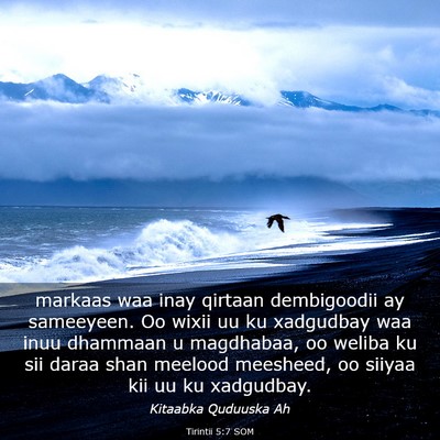 Picture 03 - Tirintii 5:7 SOM - markaas waa inay qirtaan dembigoodii ay - Bible Verse Picture