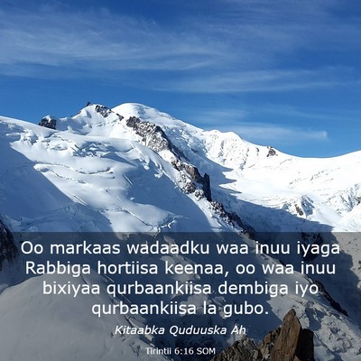 Picture 03 - Tirintii 6:16 SOM - Oo markaas wadaadku waa inuu iyaga Rabbiga - Bible Verse Picture