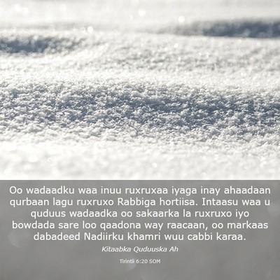 Picture 03 - Tirintii 6:20 SOM - Oo wadaadku waa inuu ruxruxaa iyaga inay ahaadaan - Bible Verse Picture