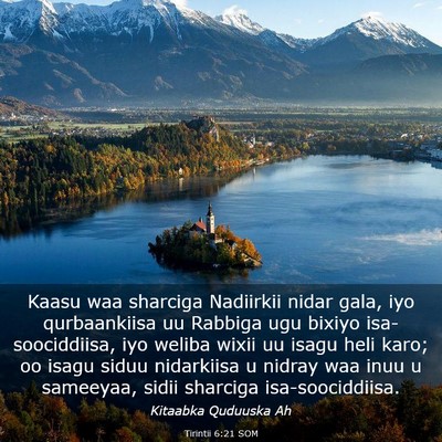 Picture 03 - Tirintii 6:21 SOM - Kaasu waa sharciga Nadiirkii nidar gala, iyo - Bible Verse Picture