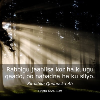 Picture 03 - Tirintii 6:26 SOM - Rabbigu jaahiisa kor ha kuugu qaado, oo nabadna - Bible Verse Picture