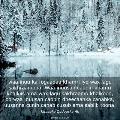 Picture 03 - Tirintii 6:3 SOM - waa inuu ka fogaadaa khamri iyo wax lagu - Bible Verse Picture
