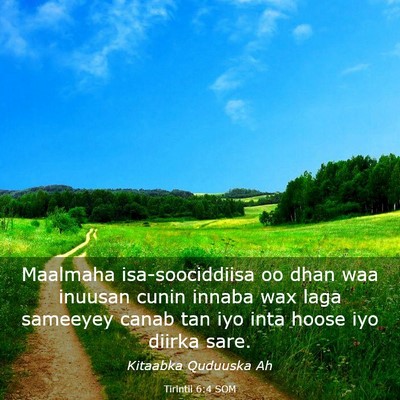 Picture 03 - Tirintii 6:4 SOM - Maalmaha isa-soociddiisa oo dhan waa inuusan - Bible Verse Picture