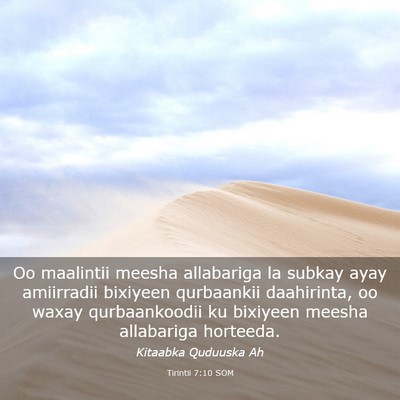 Picture 03 - Tirintii 7:10 SOM - Oo maalintii meesha allabariga la subkay ayay - Bible Verse Picture