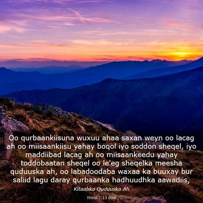 Picture 03 - Tirintii 7:13 SOM - Oo qurbaankiisuna wuxuu ahaa saxan weyn oo lacag - Bible Verse Picture