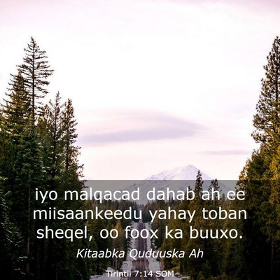 Picture 03 - Tirintii 7:14 SOM - iyo malqacad dahab ah ee miisaankeedu yahay toban - Bible Verse Picture