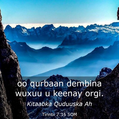 Picture 03 - Tirintii 7:16 SOM - oo qurbaan dembina wuxuu u keenay - Bible Verse Picture