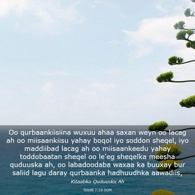 Picture 03 - Tirintii 7:19 SOM - Oo qurbaankiisiina wuxuu ahaa saxan weyn oo lacag - Bible Verse Picture