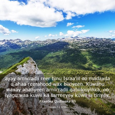 Picture 03 - Tirintii 7:2 SOM - ayay amiirradii reer binu Israa'iil oo madaxda u - Bible Verse Picture