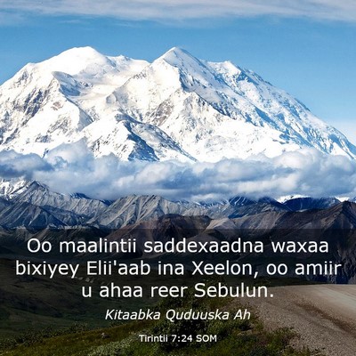 Picture 03 - Tirintii 7:24 SOM - Oo maalintii saddexaadna waxaa bixiyey Elii'aab - Bible Verse Picture