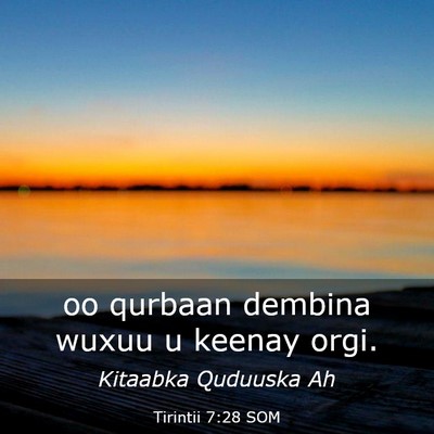 Picture 03 - Tirintii 7:28 SOM - oo qurbaan dembina wuxuu u keenay - Bible Verse Picture