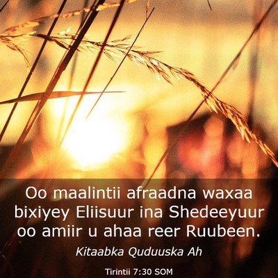 Picture 03 - Tirintii 7:30 SOM - Oo maalintii afraadna waxaa bixiyey Eliisuur ina - Bible Verse Picture