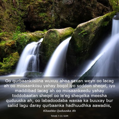 Picture 03 - Tirintii 7:31 SOM - Oo qurbaankiisiina wuxuu ahaa saxan weyn oo lacag - Bible Verse Picture