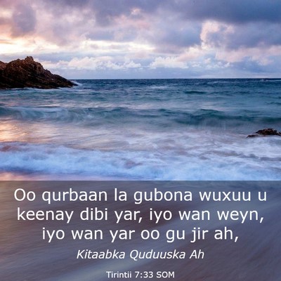 Picture 03 - Tirintii 7:33 SOM - Oo qurbaan la gubona wuxuu u keenay dibi yar, iyo - Bible Verse Picture