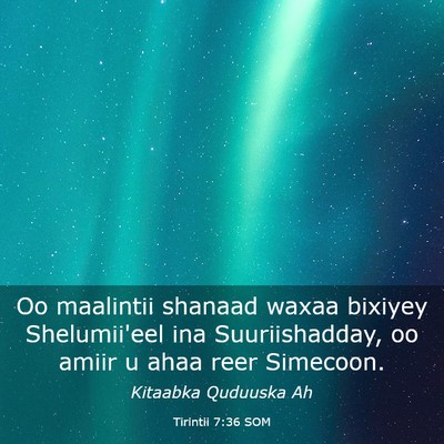 Picture 03 - Tirintii 7:36 SOM - Oo maalintii shanaad waxaa bixiyey Shelumii'eel - Bible Verse Picture