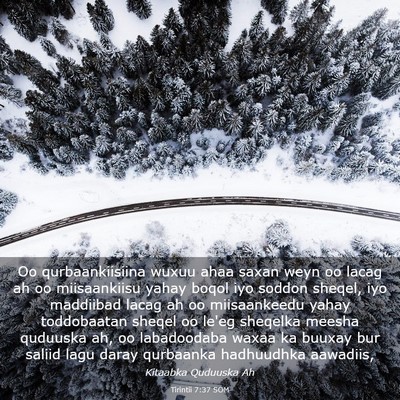 Picture 03 - Tirintii 7:37 SOM - Oo qurbaankiisiina wuxuu ahaa saxan weyn oo lacag - Bible Verse Picture