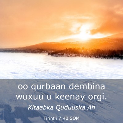 Picture 03 - Tirintii 7:40 SOM - oo qurbaan dembina wuxuu u keenay - Bible Verse Picture