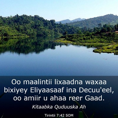 Picture 03 - Tirintii 7:42 SOM - Oo maalintii lixaadna waxaa bixiyey Eliyaasaaf - Bible Verse Picture