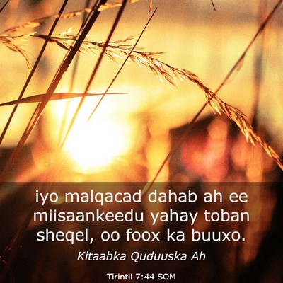 Picture 03 - Tirintii 7:44 SOM - iyo malqacad dahab ah ee miisaankeedu yahay toban - Bible Verse Picture