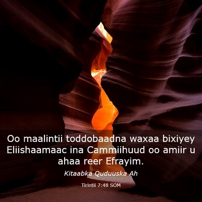 Picture 03 - Tirintii 7:48 SOM - Oo maalintii toddobaadna waxaa bixiyey - Bible Verse Picture
