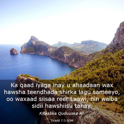 Picture 03 - Tirintii 7:5 SOM - Ka qaad iyaga inay u ahaadaan wax hawsha - Bible Verse Picture