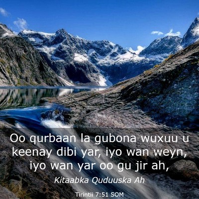 Picture 03 - Tirintii 7:51 SOM - Oo qurbaan la gubona wuxuu u keenay dibi yar, iyo - Bible Verse Picture