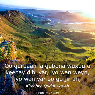 Picture 03 - Tirintii 7:57 SOM - Oo qurbaan la gubona wuxuu u keenay dibi yar, iyo - Bible Verse Picture