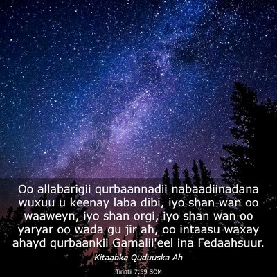 Picture 03 - Tirintii 7:59 SOM - Oo allabarigii qurbaannadii nabaadiinadana wuxuu - Bible Verse Picture