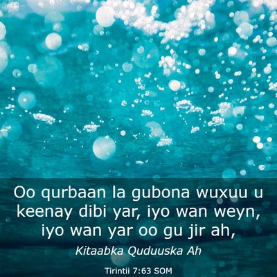Picture 03 - Tirintii 7:63 SOM - Oo qurbaan la gubona wuxuu u keenay dibi yar, iyo - Bible Verse Picture