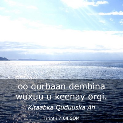 Picture 03 - Tirintii 7:64 SOM - oo qurbaan dembina wuxuu u keenay - Bible Verse Picture