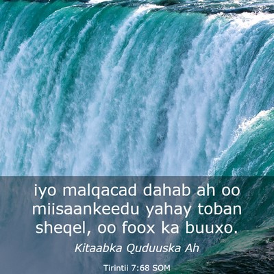 Picture 03 - Tirintii 7:68 SOM - iyo malqacad dahab ah oo miisaankeedu yahay toban - Bible Verse Picture
