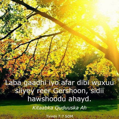 Picture 03 - Tirintii 7:7 SOM - Laba gaadhi iyo afar dibi wuxuu siiyey reer - Bible Verse Picture