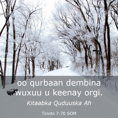 Picture 03 - Tirintii 7:70 SOM - oo qurbaan dembina wuxuu u keenay - Bible Verse Picture