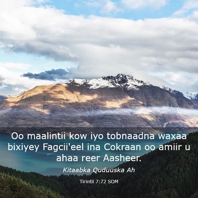 Picture 03 - Tirintii 7:72 SOM - Oo maalintii kow iyo tobnaadna waxaa bixiyey - Bible Verse Picture