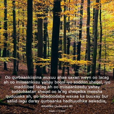 Picture 03 - Tirintii 7:73 SOM - Oo qurbaankiisiina wuxuu ahaa saxan weyn oo lacag - Bible Verse Picture