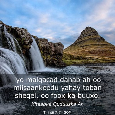 Picture 03 - Tirintii 7:74 SOM - iyo malqacad dahab ah oo miisaankeedu yahay toban - Bible Verse Picture