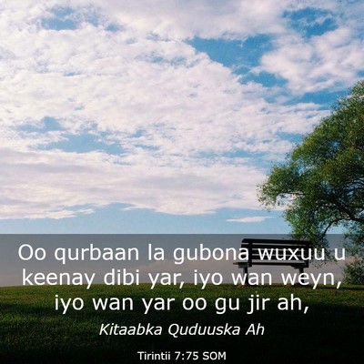 Picture 03 - Tirintii 7:75 SOM - Oo qurbaan la gubona wuxuu u keenay dibi yar, iyo - Bible Verse Picture