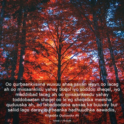 Picture 03 - Tirintii 7:79 SOM - Oo qurbaankiisiina wuxuu ahaa saxan weyn oo lacag - Bible Verse Picture